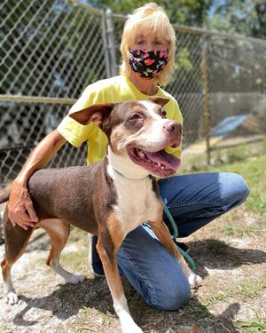 Image post by @suncoasthumane on Instagram