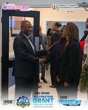 Image post by @jamaicaobserver on Instagram