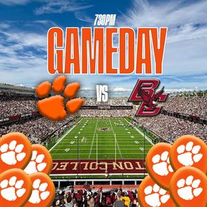 Image post by @tigertalk247 on Instagram