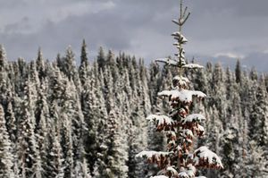 Image post by @breckenridgemtn on Instagram