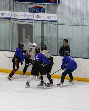 Image post by @sfstampede on Instagram