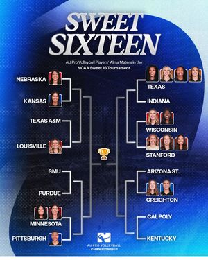 Image post by @auprovolleyball on Instagram