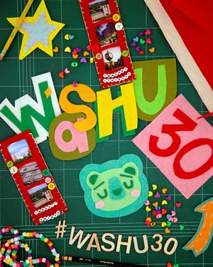 Image post by @washu on Instagram