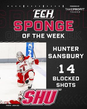 Image post by @everythingcollegehockey on Instagram