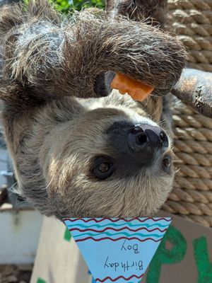 Image post by @denverzoo on Instagram