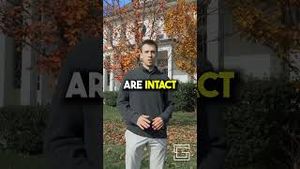 Video post by @Sam Gray on YouTube