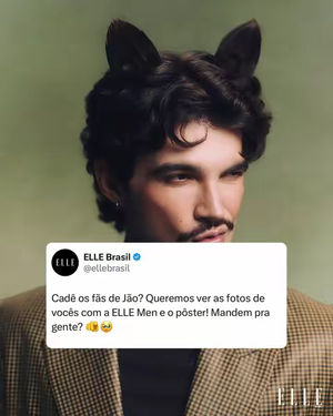 Image post by @ellebrasil on TikTok
