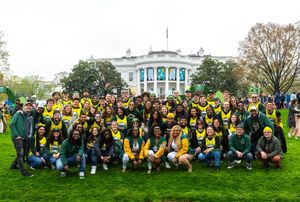 Image post by @gmugreenmachine on Instagram