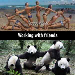 Image post by @9GAG on Twitter