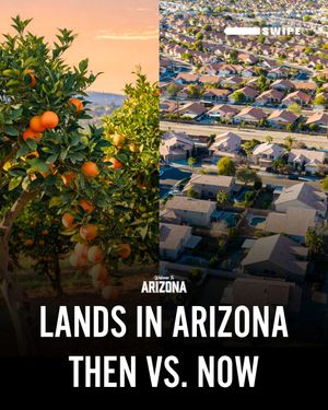 Image post by @welcometoarizona on Instagram