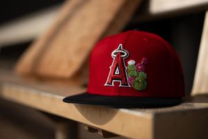 Image post by @angels on Instagram