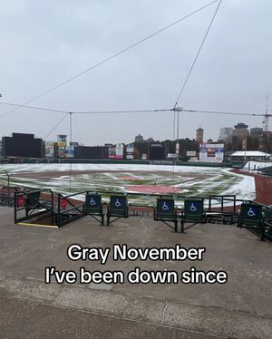 Video post by @rocredwings on TikTok