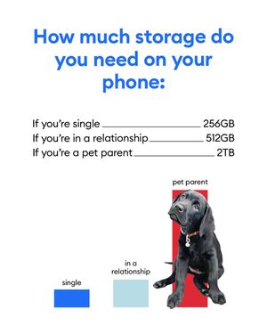 Image post by @petsmart on Instagram