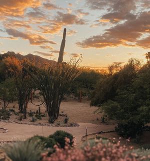 Image post by @civanaresort on Instagram