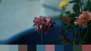 Image post by @paperworkpictures on Instagram