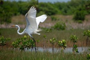 Image post by @zk_multimedia on Instagram