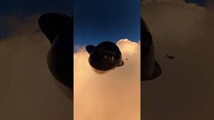 Video post by @gopro on YouTube