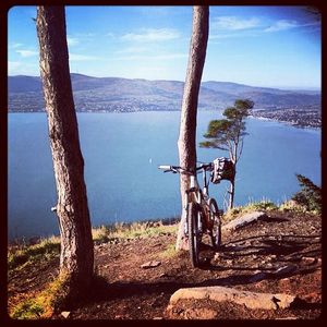 Image post by @vitusbikes on Instagram
