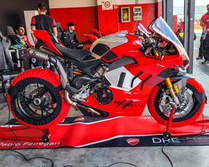 Image post by @panigalers on Instagram