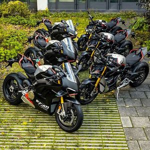 Image post by @panigalers on Instagram