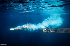 Image post by @GettySport on Twitter