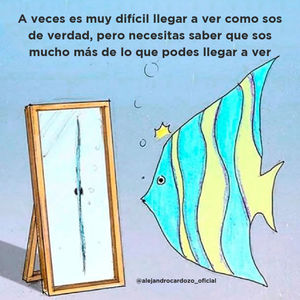 Image post by @alejandrocardozo_oficial on Instagram