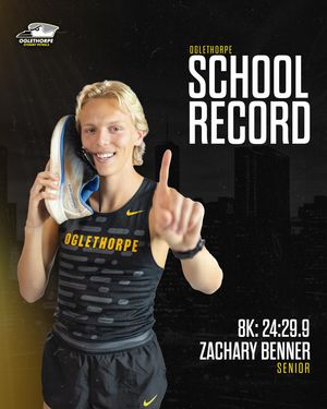 Image post by @gopetrels on Instagram