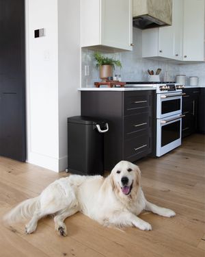 Image post by @simplehuman on Instagram