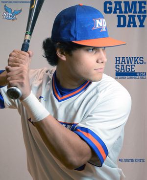Image post by @nphawks on Twitter