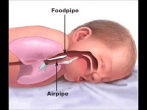 Image post by @mnhealth on Facebook