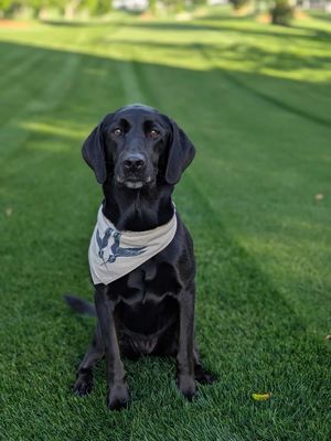 Image post by @seniorpgachamp on Instagram
