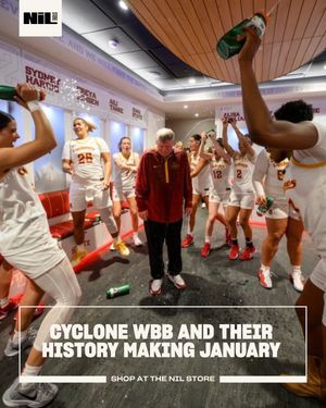 Image post by @iowastate.nil.store on Instagram