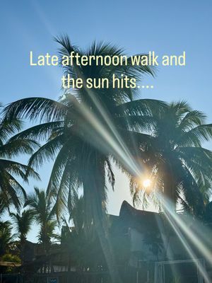 Image post by @caribbeansunshine2.0 on Instagram