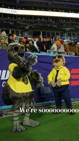 Video post by @musiccitybowl on TikTok