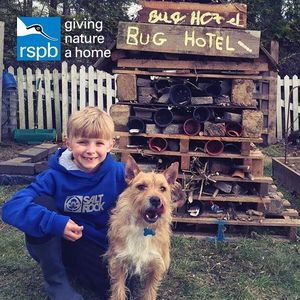 Image post by @rspb on Instagram