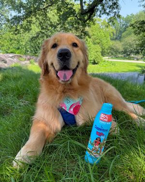 Image post by @coppertoneusa on Instagram