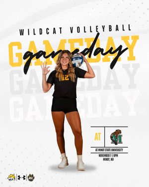 Image post by @wscwildcatvb on Instagram