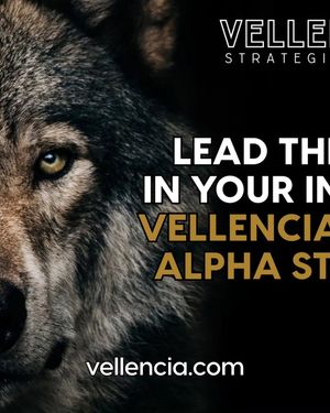 Image post by @vellenciastrategies on Instagram