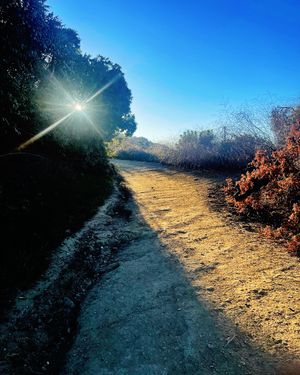 Image post by @iamshaunspencer on Instagram