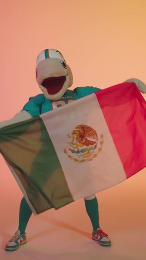 Video post by @miamidolphins on TikTok