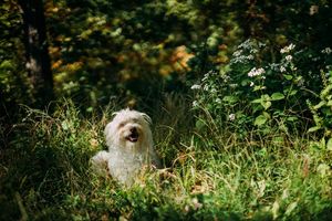 Image post by @jamie.wagasky on Instagram