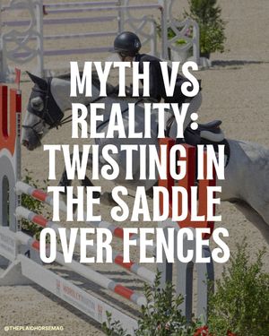 Image post by @theplaidhorsemag on Instagram