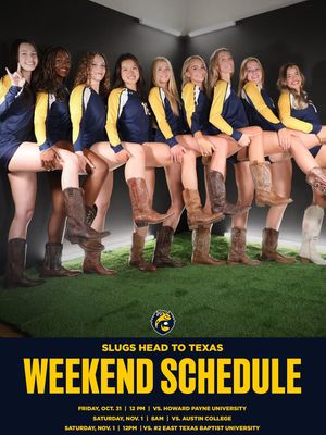 Image post by @ucsc_wvb on Instagram