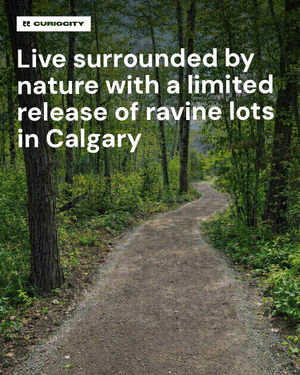 Image post by @curiocitycalgary on Instagram