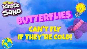 Video post by @kineticsandofficial on YouTube