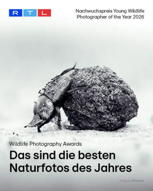 Image post by @rtlaktuell on TikTok