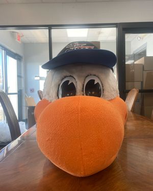 Image post by @newportgulls on Instagram