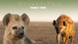 Video post by @bbcearth on YouTube