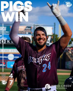 Image post by @IronPigs on Twitter