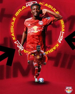 Image post by @NYRBII on Twitter